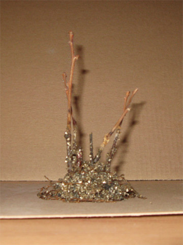 Очищенные от грунта черенки гингко похожи на болотную кочку с чахлой растительностью.